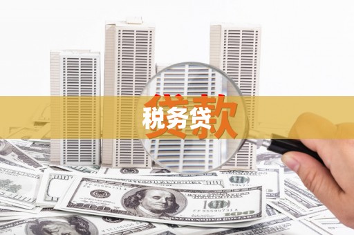 夏津税务贷