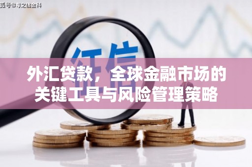 夏津外汇贷款，全球金融市场的关键工具与风险管理策略