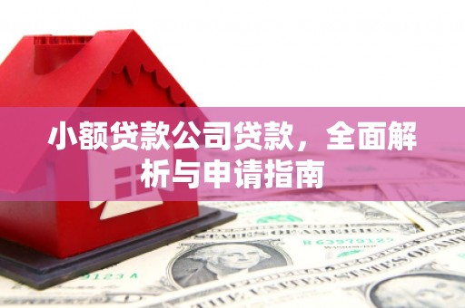 夏津小额贷款公司贷款，全面解析与申请指南