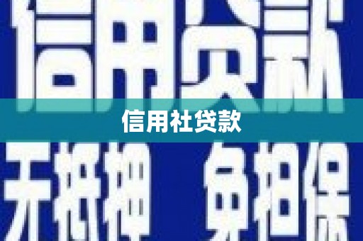 夏津信用社贷款
