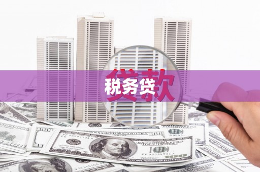 夏津税务贷