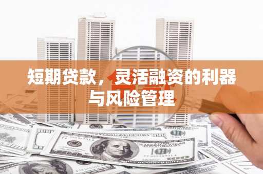 夏津短期贷款，灵活融资的利器与风险管理