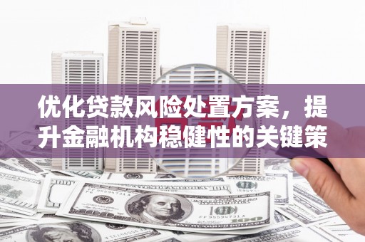 夏津优化贷款风险处置方案，提升金融机构稳健性的关键策略