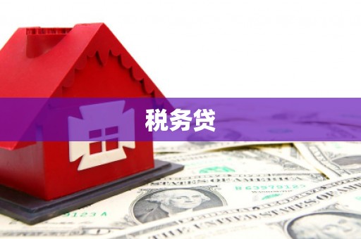 夏津税务贷
