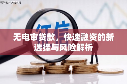 夏津无电审贷款，快速融资的新选择与风险解析
