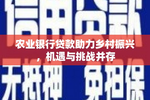 夏津农业银行贷款助力乡村振兴，机遇与挑战并存