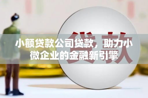 夏津小额贷款公司贷款，助力小微企业的金融新引擎