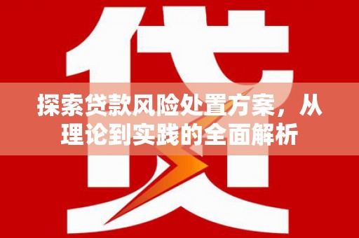 夏津探索贷款风险处置方案，从理论到实践的全面解析