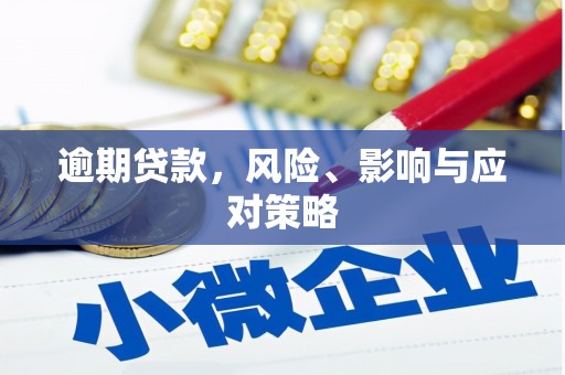 夏津逾期贷款，风险、影响与应对策略