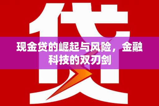 夏津现金贷的崛起与风险，金融科技的双刃剑