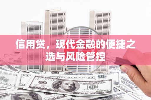 夏津信用贷，现代金融的便捷之选与风险管控