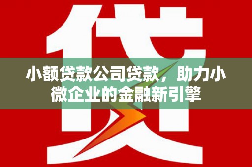 夏津小额贷款公司贷款，助力小微企业的金融新引擎