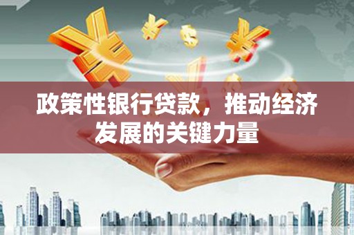 夏津政策性银行贷款，推动经济发展的关键力量