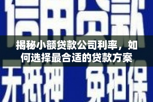 夏津揭秘小额贷款公司利率，如何选择最合适的贷款方案