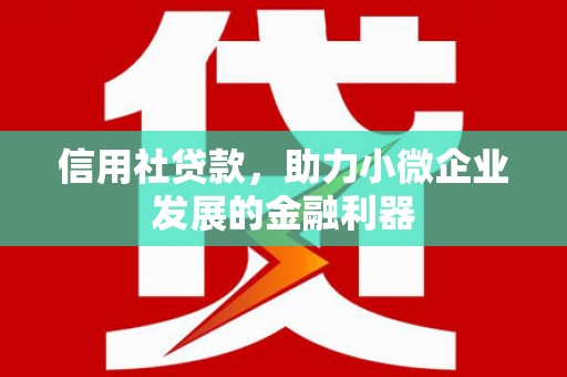 夏津信用社贷款，助力小微企业发展的金融利器