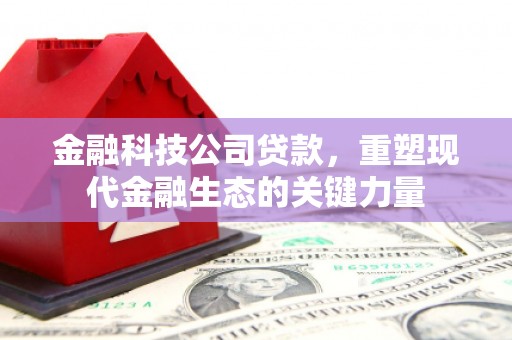 夏津金融科技公司贷款，重塑现代金融生态的关键力量