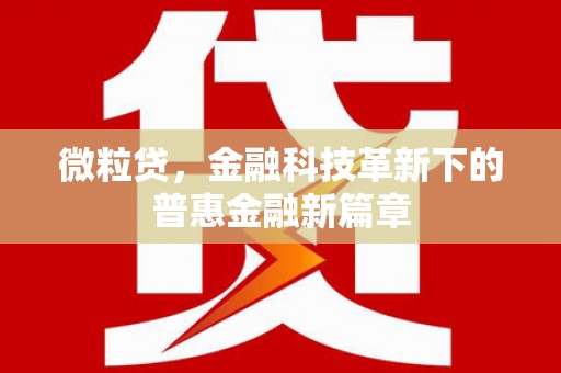 夏津微粒贷，金融科技革新下的普惠金融新篇章