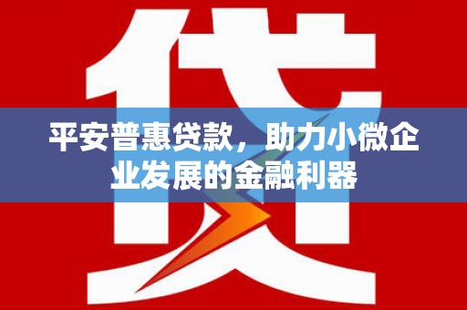 夏津平安普惠贷款，助力小微企业发展的金融利器