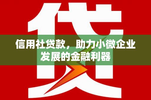 夏津信用社贷款，助力小微企业发展的金融利器