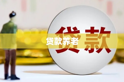 夏津贷款养老