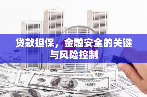 夏津贷款担保，金融安全的关键与风险控制