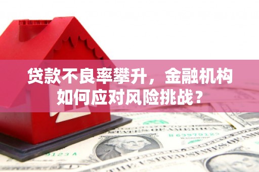 夏津贷款不良率攀升，金融机构如何应对风险挑战？