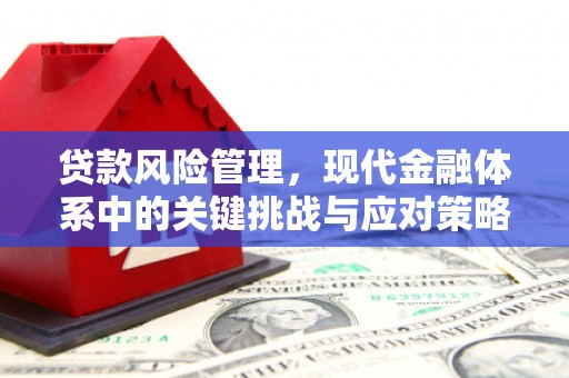 夏津贷款风险管理，现代金融体系中的关键挑战与应对策略