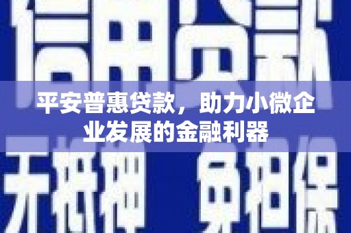 夏津平安普惠贷款，助力小微企业发展的金融利器