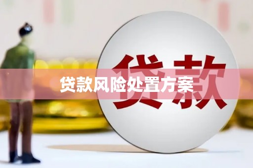 夏津贷款风险处置方案