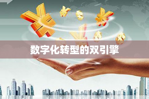 夏津数字化转型的双引擎